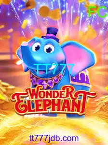 WonderElephant